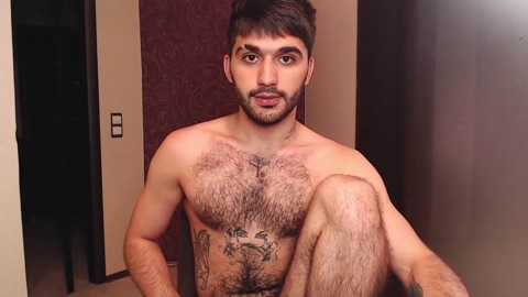 teddy_mode  29-07-2022